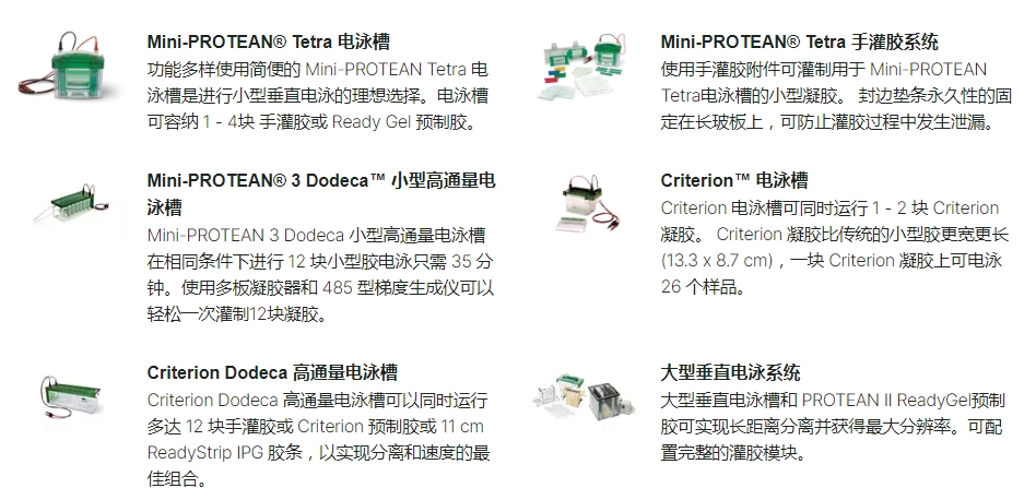 伯乐12021134 滴定管,1ML,盒装,960/盒- 生命科学-Bio-Rad伯乐树脂填料抗体官网