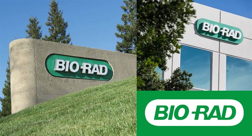Bio-Rad伯乐12014665 Bio-Plex Pro Human IgA SARS-CoV-2 N/RBD/S1/S2 4-plex ...